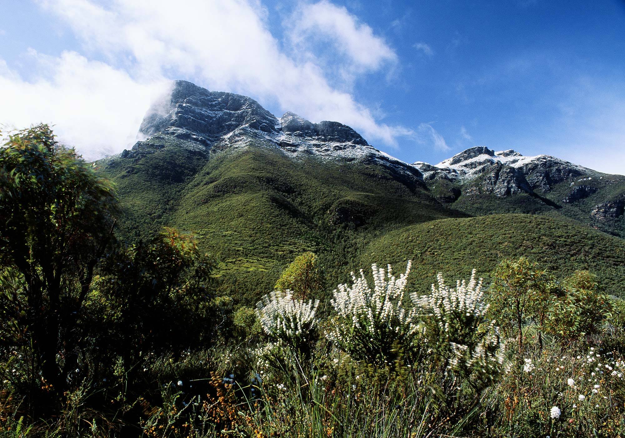 Bluff Knoll